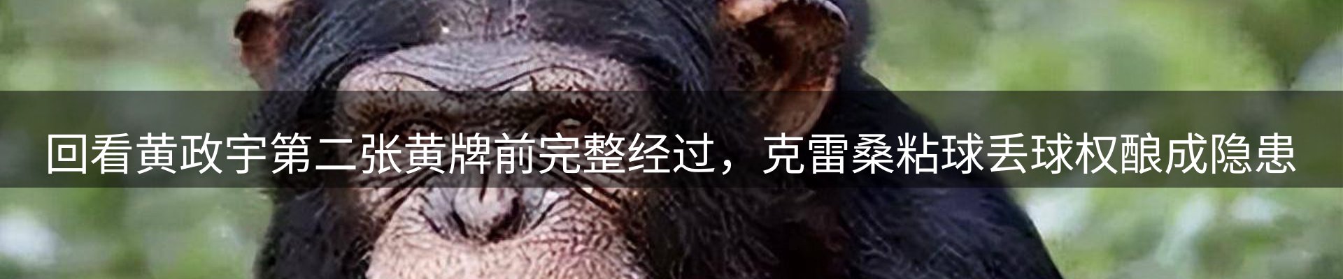 体育资讯